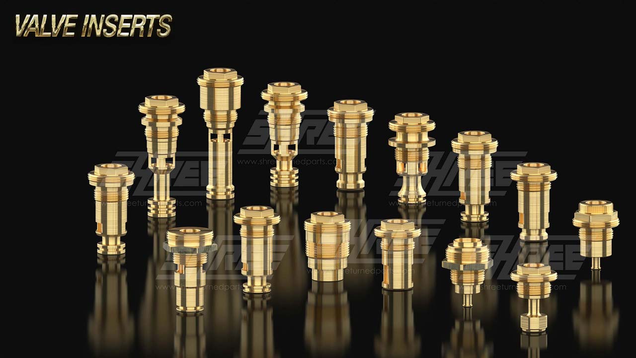 Valve Inserts