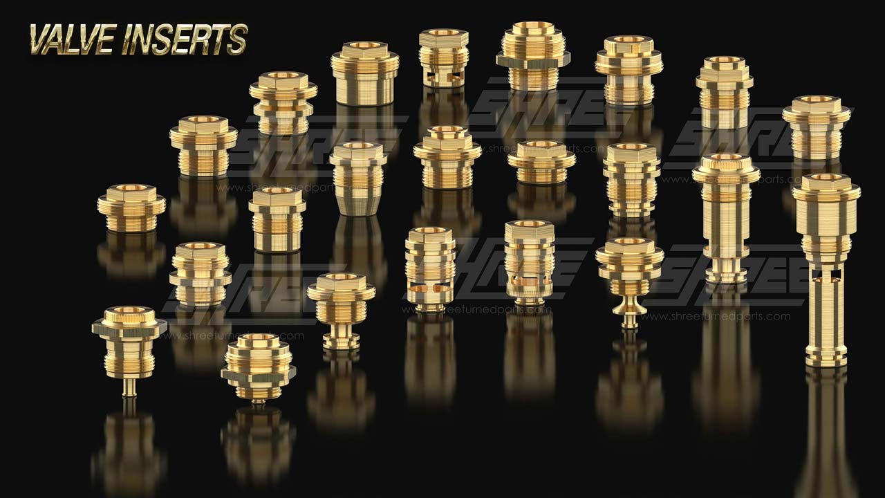 Valve Inserts